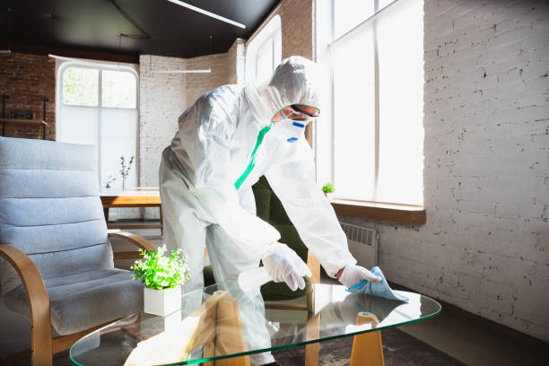 Best Mold Odor Removal Services in USA